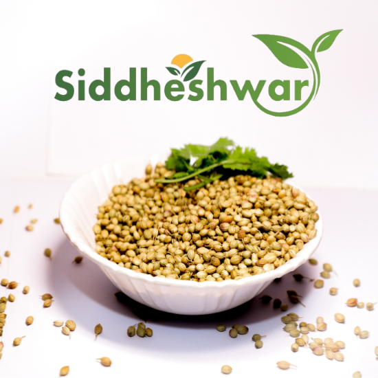 siddheshwar agri export Coriander Seeds