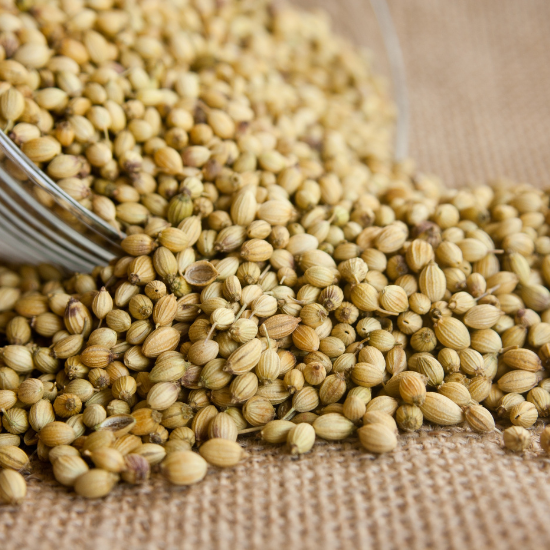 siddheshwaragriexport